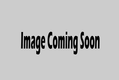 Bengal Kittens For Sale